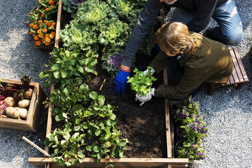 Energy-efficient gardening. 