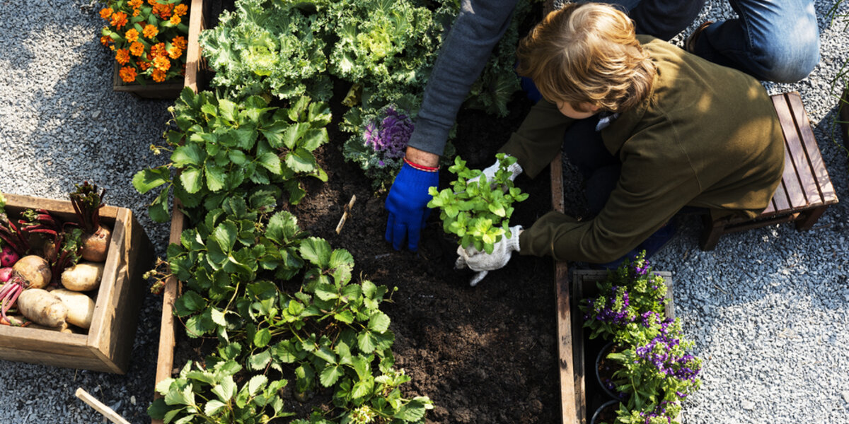 Energy-efficient gardening. 